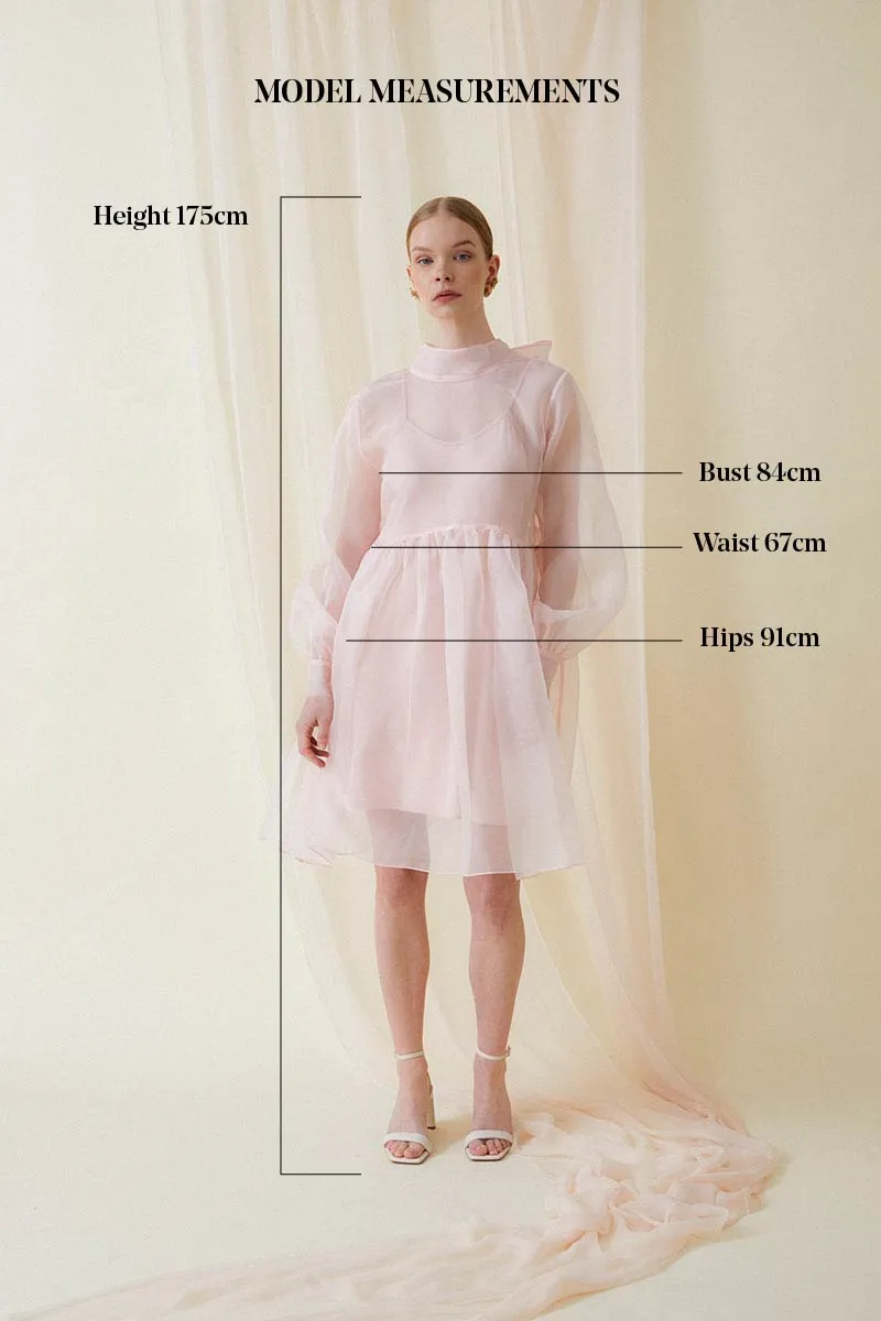 Giselle Organza Dress