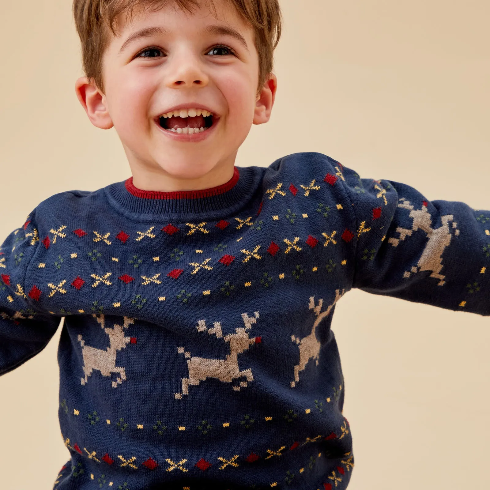 Reindeer Fair Isle Knitted Sweater
